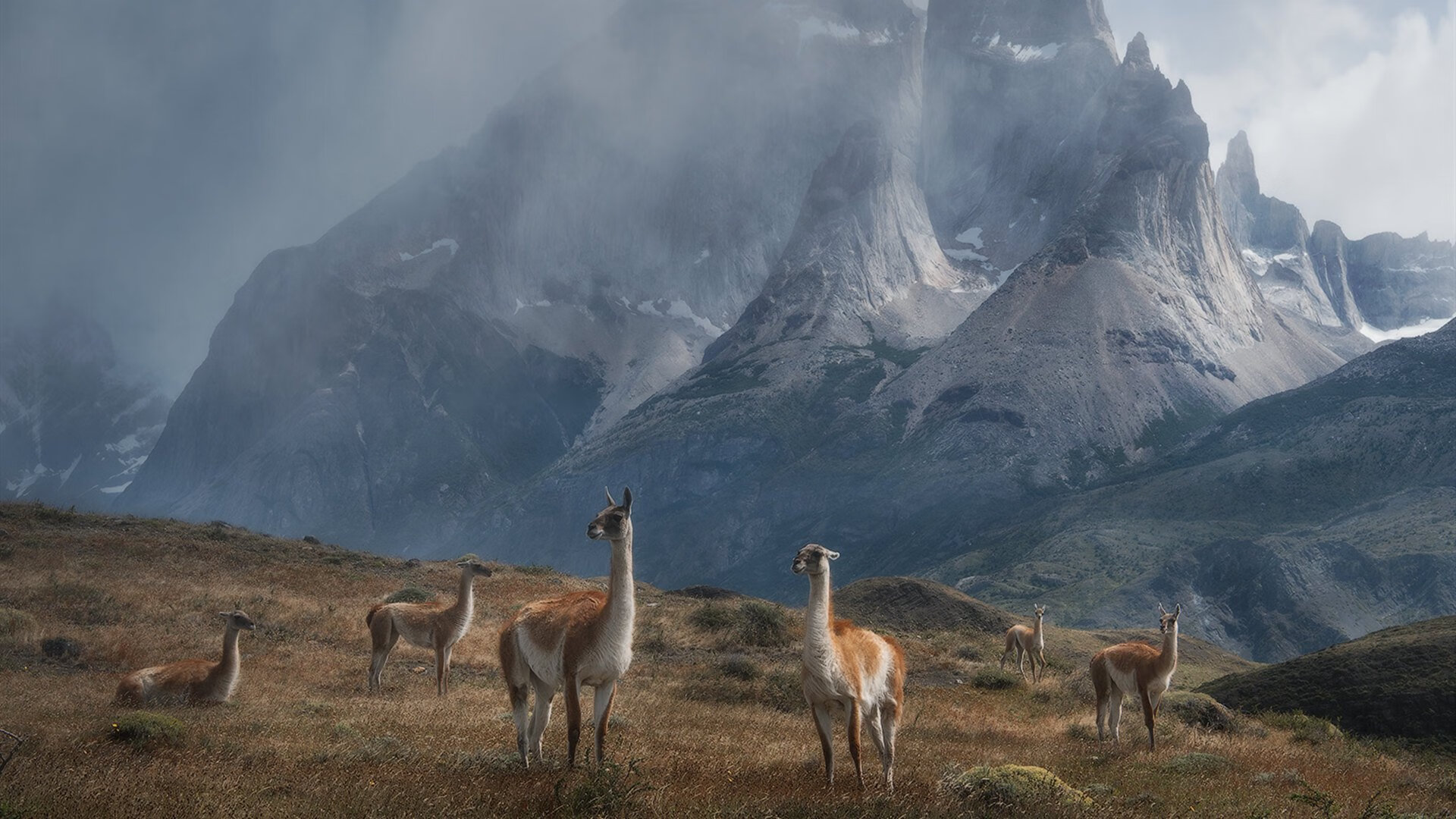 跨界绝杀,从牙买加田径到F1赛道,哈弗茨的接管哲学