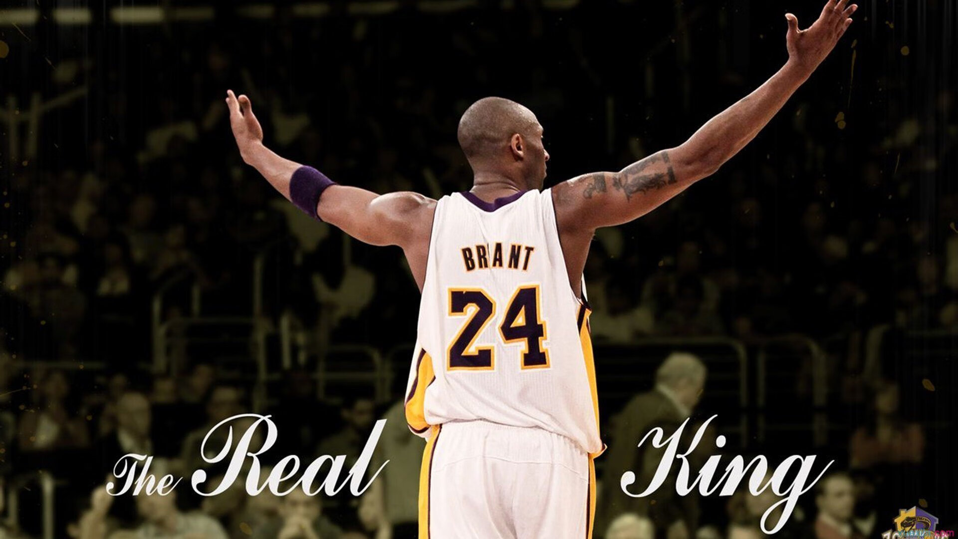 NBA季后赛之夜，布雷默的无解方程式，对手防线如何被彻底撕裂？